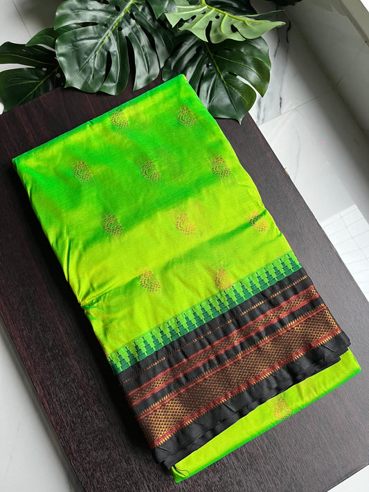 PARROT GREEN TEMPLE IRKAL PAITHANI